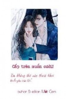 CẤP TRÊN MUỐN CƯỚI