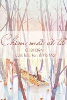 Chim Mỏi Về Tổ