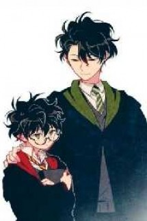 [Đồng Nhân Harry Potter] Ông Xã Ta Là Tiểu D